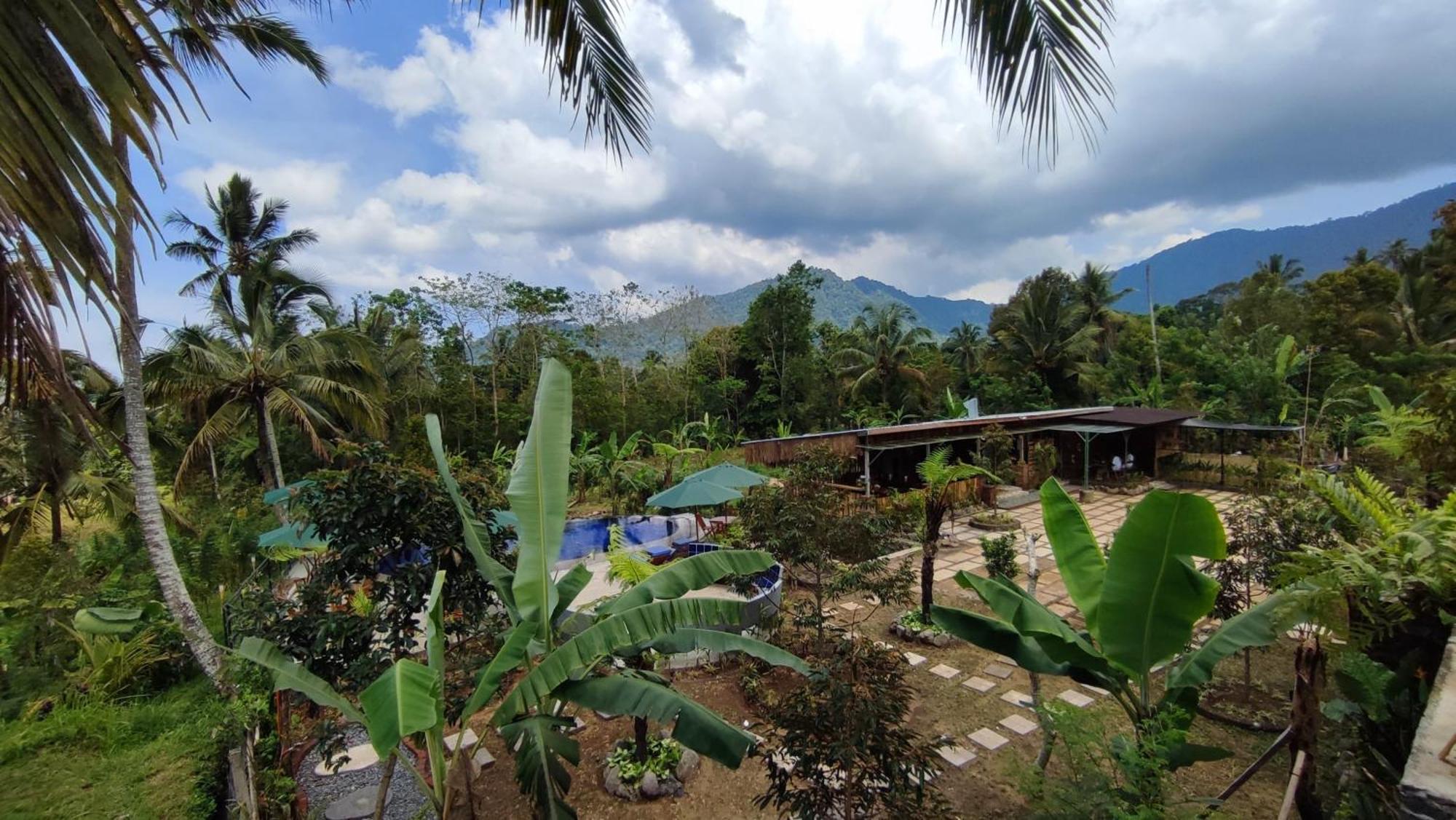 Sekumpul Bali Hidden Space Singaraja Exteriér fotografie